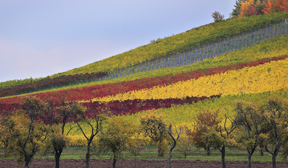 Le previsioni del tempo di domani, 24 settembre
