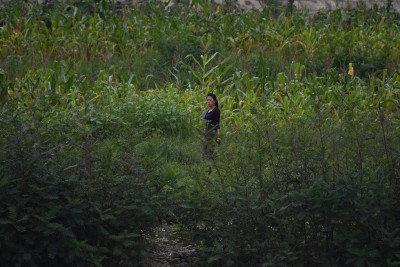 Sinuiju, Corea del Nord