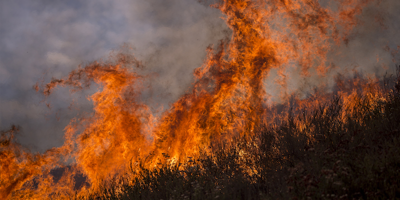 L'incendio nel canyon La Tuna, vicino a Burbank, in California, il 2 settembre 2017 (David McNew/Getty Images)