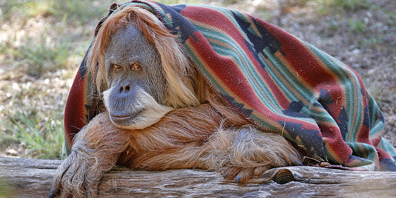 Le previsioni del tempo per sabato 7 ottobre