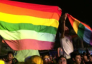 In Egitto sono state arrestate almeno 34 persone gay e transgender