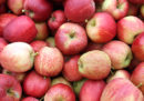 Come lavare meglio le mele, secondo la scienza