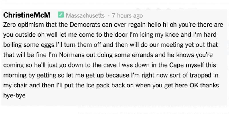 Il «miglior commento dell’anno sul New York Times»