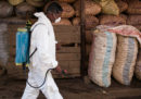 C'è una grave epidemia di peste in Madagascar