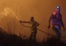 Almeno 27 persone sono morte per gli incendi in Portogallo