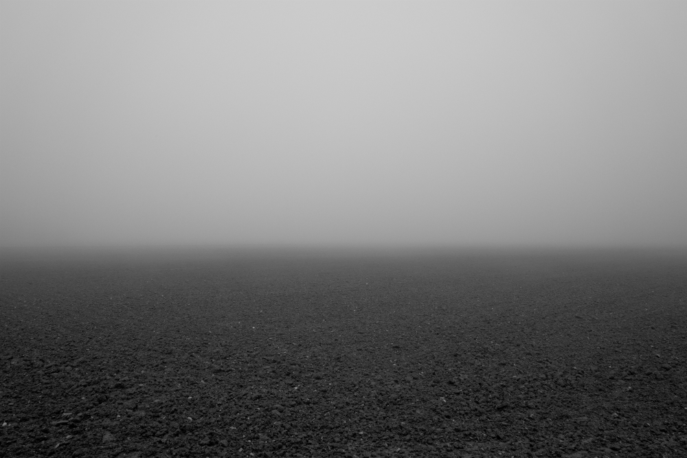 Tutto quello che arriverà