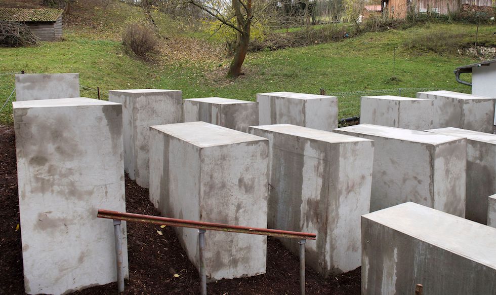 9 belle foto di ieri