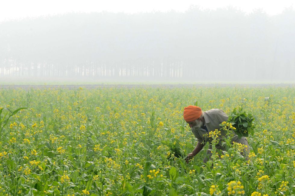 9 foto notevoli di ieri