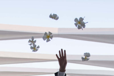 Pearl Harbor, Stati Uniti