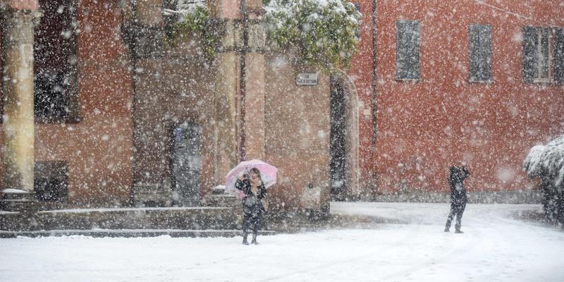 Bologna, 13 novembre 2017
(ANSA/GIORGIO BENVENUTI)