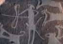 I più antichi disegni di cani addomesticati mai trovati, forse