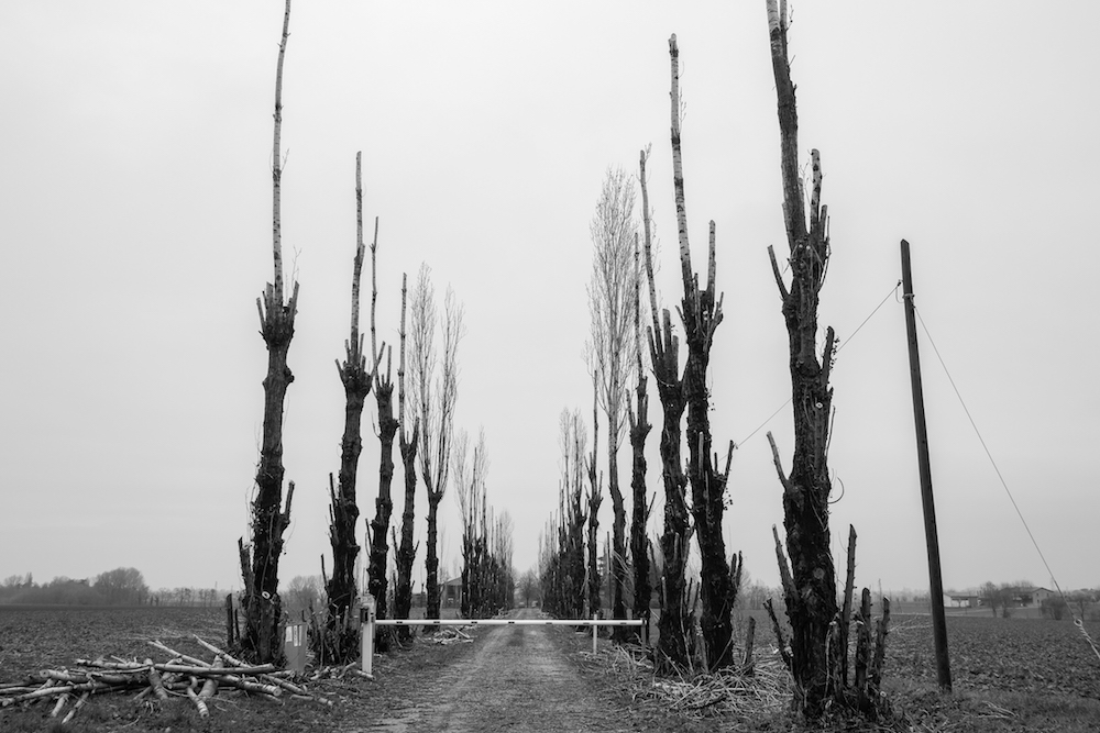 Via Emilia field recordings