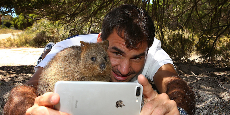 Il tennista svizzero Roger Federer si fa un selfie con un quokka sull'isola di Rottnest, prima della Hopman Cup a Perth, 28 dicembre 2017
(Paul Kane/Getty Images)