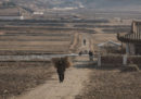 Foto da una Corea del Nord diversa