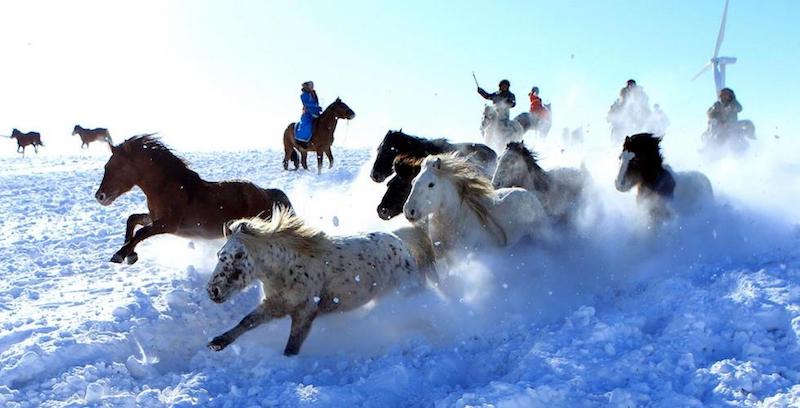 Cavalli in corsa in un prato a Xilingol, nella Mongolia Interna cinese, 26 dicembre 2017
(Xinhua/Ma Jianquan - La presse)