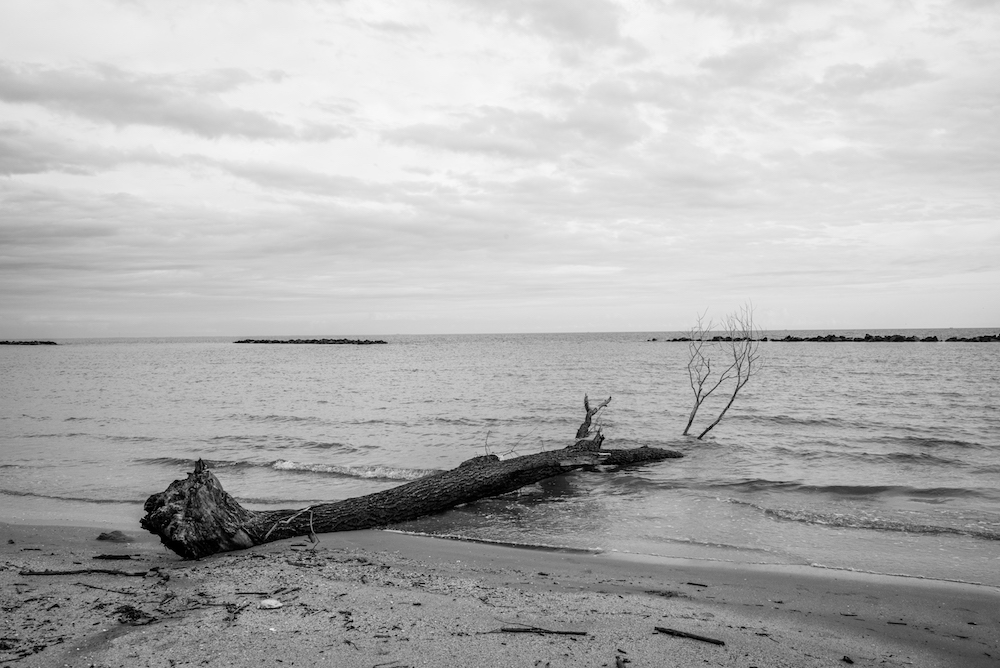 la fine in tempo reale