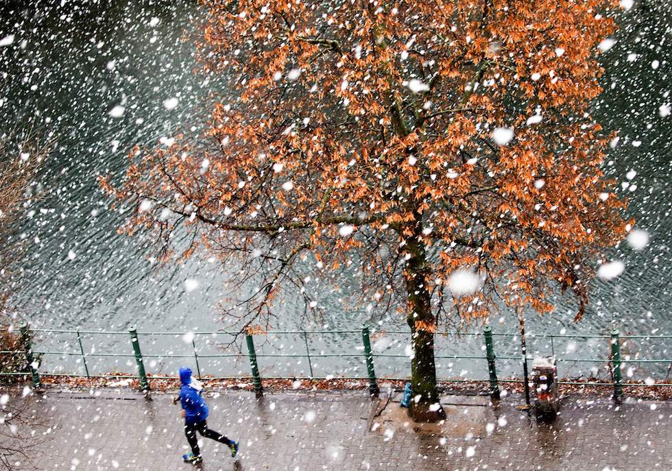 Giovedì 18 gennaio in foto