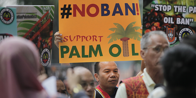 Manifestazione dei coltivatori di olio di palma della Malesia, Kuala Lumpur, 16 gennaio 2018 (Bazuki Muhammad/AP Images for National Association of Smallholders Malaysia)