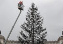 Raggi dice che l'albero di Natale di Roma tornerà «a nuova vita»