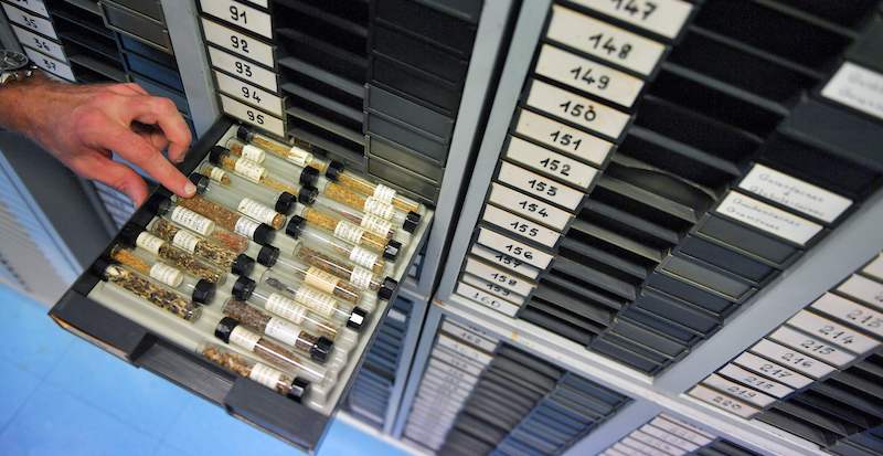 Le elezioni e la scienza