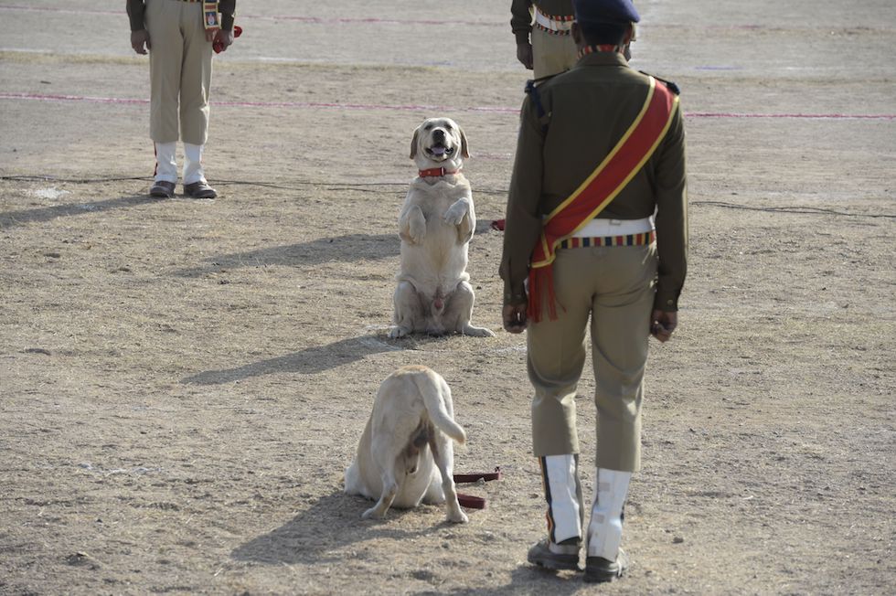 Venerdì 26 gennaio in foto