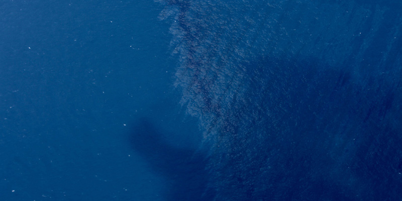 La grande macchia di petrolio nel Mar Cinese è triplicata