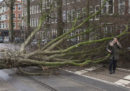 Cinque persone sono morte in incidenti legati al cattivo tempo in Germania e nei Paesi Bassi