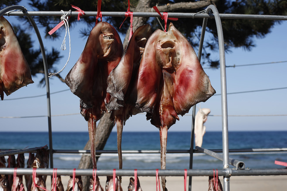 Le migliori foto di ieri