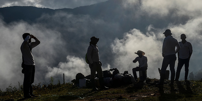 Alcuni contandini a Briceno nel dipartimento di Antioquia, Colombia, 22 novembre 2017 (JOAQUIN SARMIENTO/AFP/Getty Images)