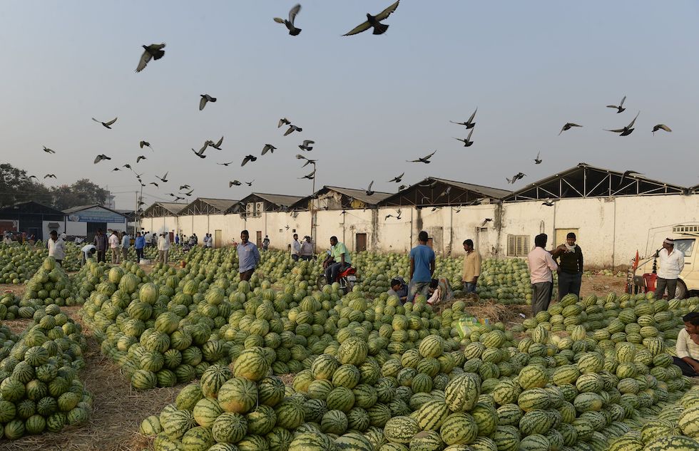 Martedì 20 febbraio