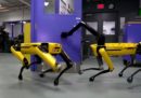 Ora i robot di Boston Dynamics si tengono la porta a vicenda
