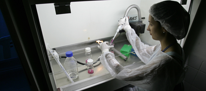 Una ricercatrice in un laboratorio per la fecondazione in vitro all'Università di San Paolo. (MAURICIO LIMA/AFP/Getty Images)