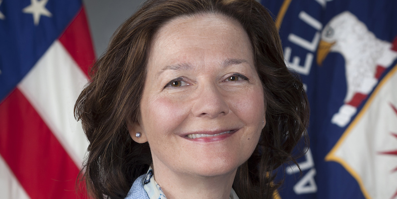 Gina Haspel (CIA via AP)