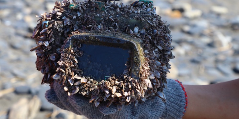 Una macchina fotografica persa in mare nel 2015 è stata ritrovata, ed era ancora carica