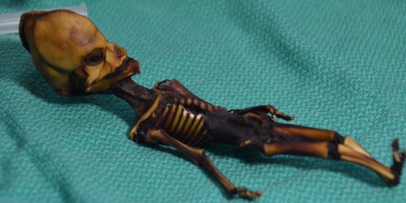 Lo scheletro mummificato di una bambina trovato nel deserto di Atacama, in Cile (Genome Research/Emery Smith)