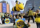 Una buona notizia per le api europee