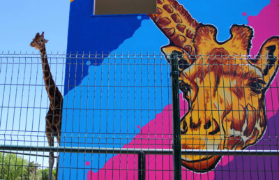 Ciudad Juarez, Messico