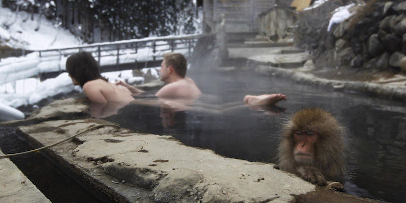 Una coppia e un macaco giapponese in una vasca di acqua calda a Yamanouchi, in Giappone, il 26 gennaio 2011 (AP Photo/Hiro Komae)