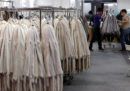 Los Angeles ha vietato la vendita di pellicce