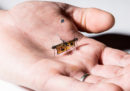 Il primo insetto robot volante senza fili