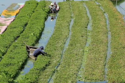 Phnom Penh, Cambogia