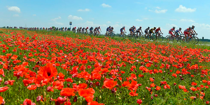 (LUK BENIES/AFP/Getty Images)