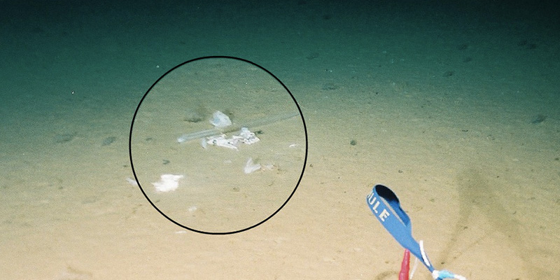 Sacchetti di plastica e altri inquinanti fotografati nella fossa delle Marianne (JAMSTEC)