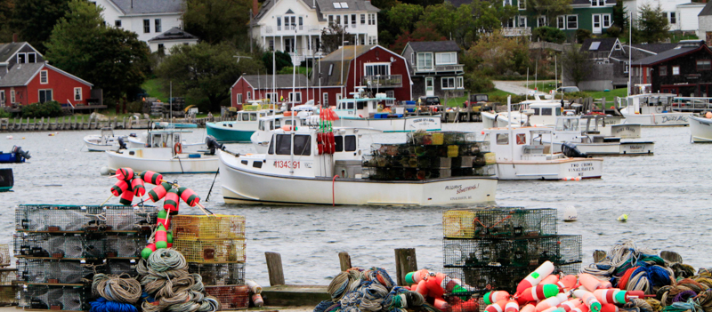 L'isola di Vinalhaven, al largo del Maine, tra i centri della pesca di astici. (AP Photo/Pat Wellenbach)