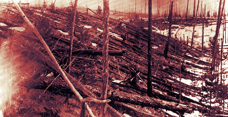 Alberi piegati e abbattuti dall'evento di Tunguska del 1908 - Siberia, Russia (AP Photo)