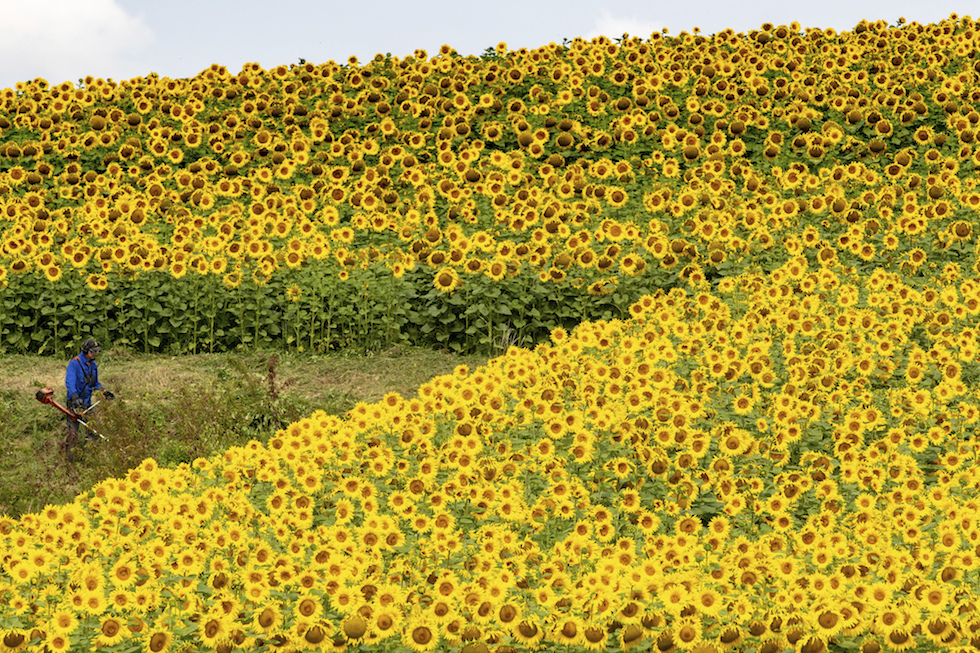 7 belle foto di ieri