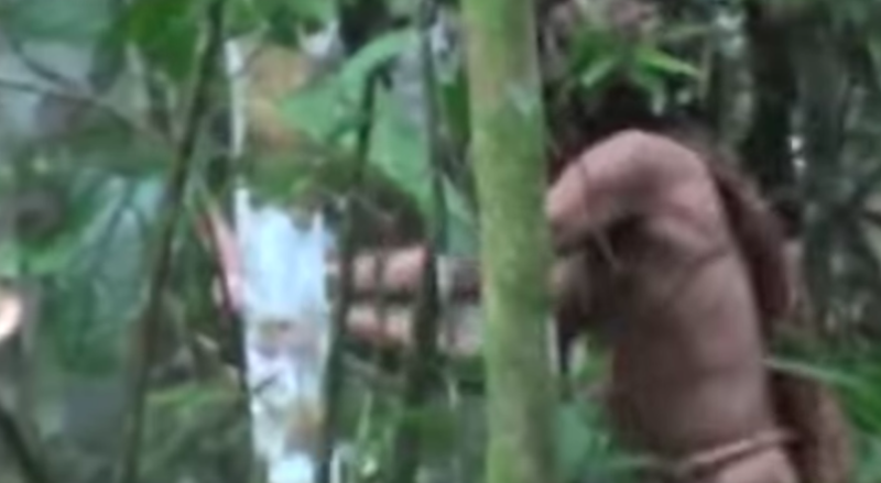 Il raro video dell’ultimo sopravvissuto di una tribù dell’Amazzonia
