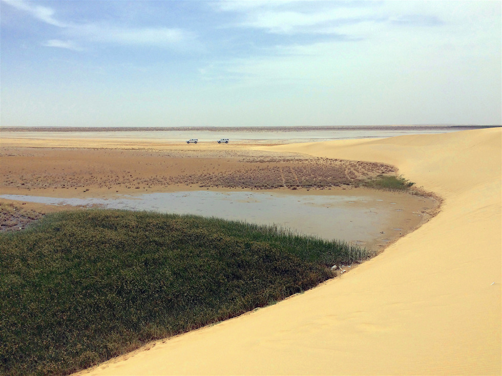 Oasi di Al-Asha, Arabia Saudita