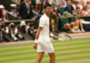 Wimbledon: dove vedere in streaming la finale tra Anderson e Djokovic