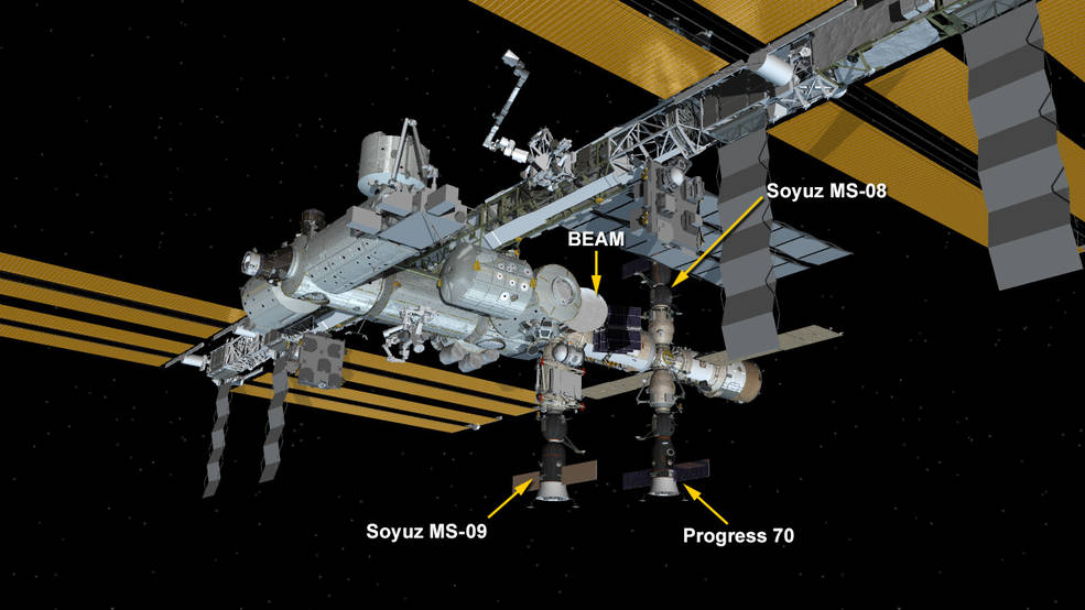 Uno schema della Stazione Spaziale Internazionale (NASA)